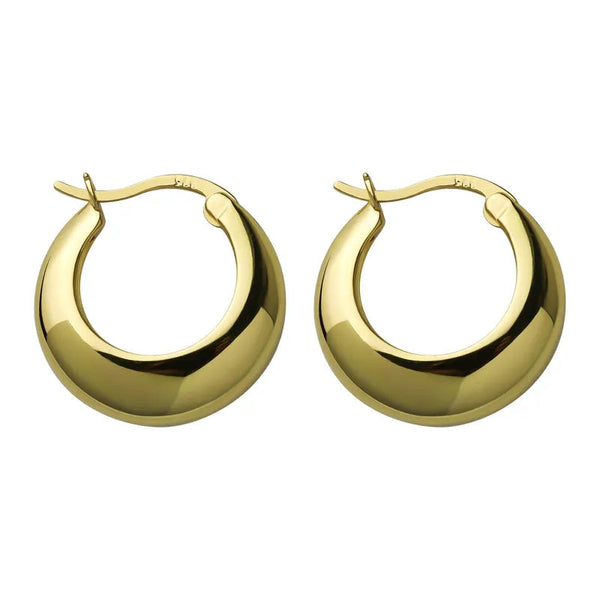Brincos Femininos Argola Luxuosa Dourada